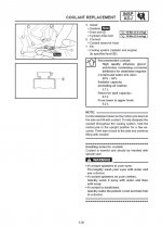 Yamaha_TDM850_Coolant_3.jpg