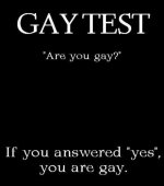 gay test.jpg