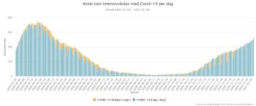 diagram_Antal som intensivvårdas med Covid-19 per dag .jpg