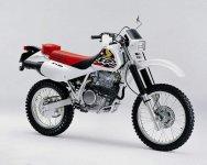 Honda XR600R 98  2.jpg