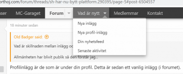 Profilinlägg.PNG