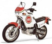 CAGIVA-Elefant-750C-ie-Lucky-Explorer-11316_3.jpg