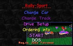 rally sport.jpg