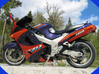 zzr1100ny3.gif