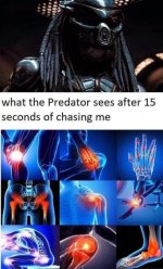 predator.jpg