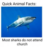 animal fact.jpg