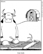 Cow_Tools_cartoon.png