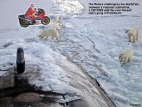 Polar_bears_near_north_pole The race.jpg