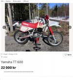 TT600_2.jpg