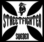 SF_SWE_logo_3.5.jpg