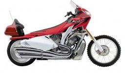 goldwing enduro edition.jpg