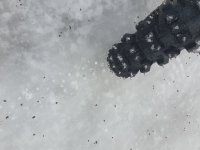 20240218_112836.jpg