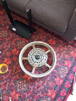 IMG_20240425_114208.jpg