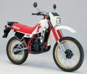 DT125LC.jpg