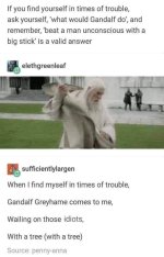 Gandalf.jpg