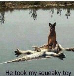 Squeaky_toy.jpg