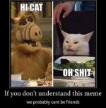 Alf_cat_meme.jpg