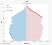 USA_Population_Pyramid.svg.png