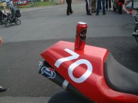 Ölbjorn.JPG
