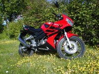 cbr 125.jpg