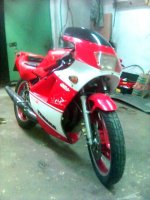 rd350_1.jpg