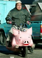 pigbike.jpg