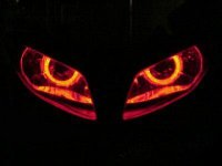 Angel Eyes R1.JPG