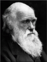 darwin1.gif