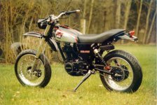 XT custom supermotard.jpg