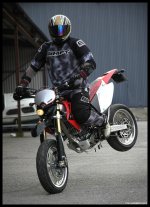 crf450_1b.jpg