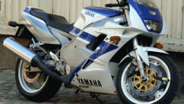 fzr450x254.gif