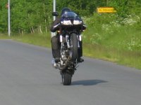 wheelie03.jpg