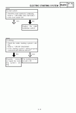 electric-start-system-r1_5.gif