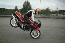 stoppie.jpg