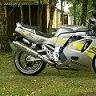 Mange GSXR